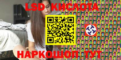 spice Новодвинск