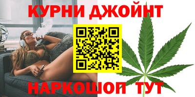 spice Новодвинск