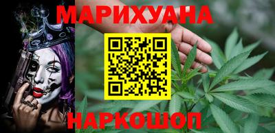 spice Новодвинск