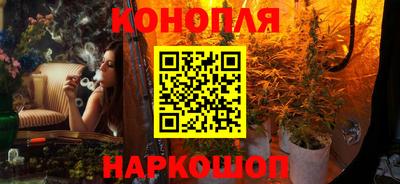 таблы Новозыбков