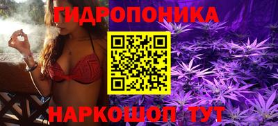 таблы Новозыбков