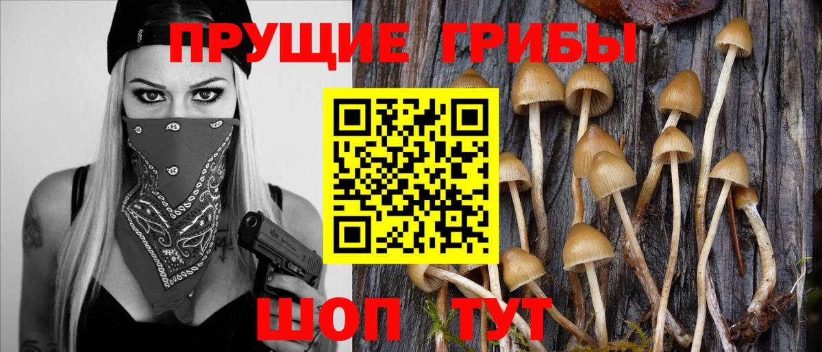 Ялта  Псилоцибиновые грибы Psilocybe  Вход с VPN 